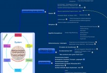 Robert Dilts Neuro-Logische Ebenen Gestaltungsebenen